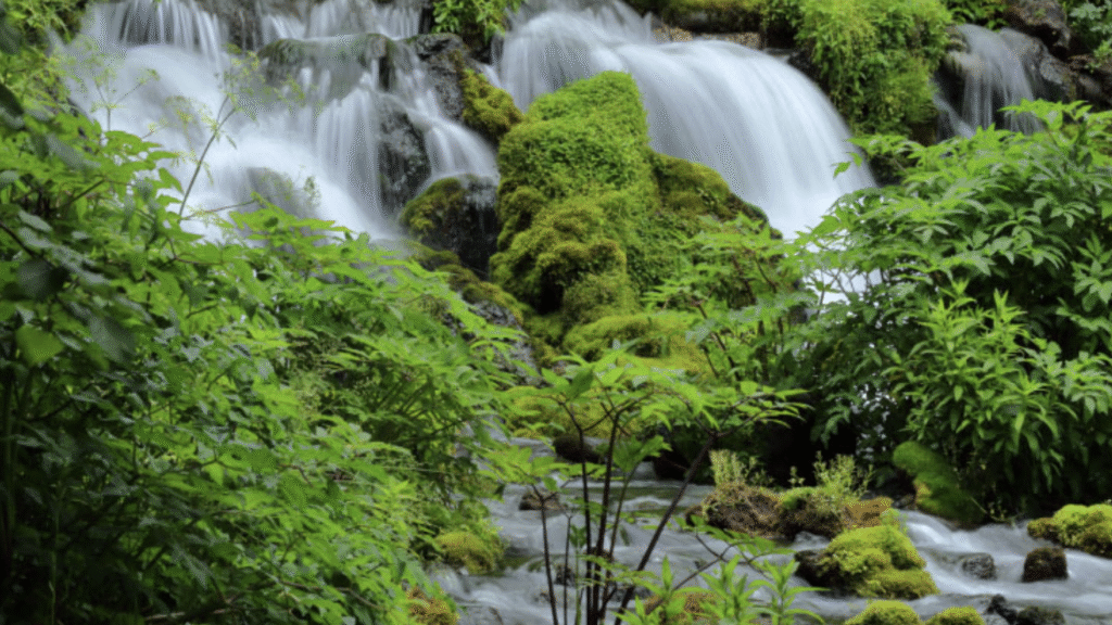 日田醤油「醤油・味噌・出汁」