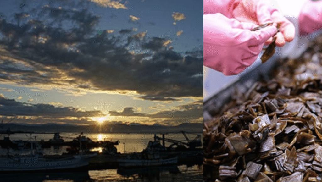 小倉屋山本「昆布」