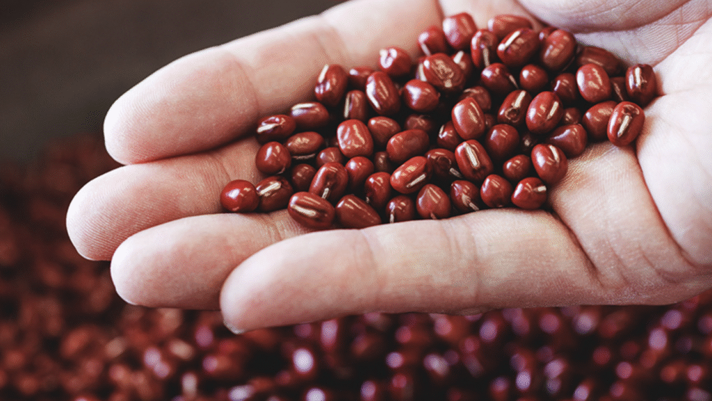 菊廼舎「冨貴寄(ふきよせ)」